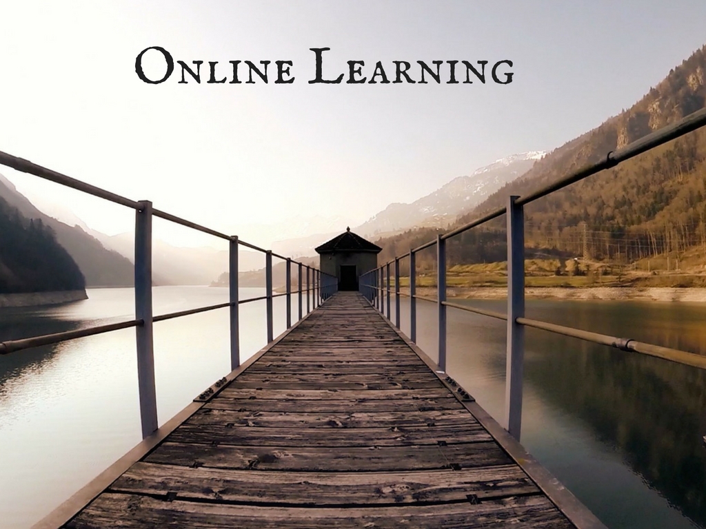 Online learning meme-Deborah Johnson